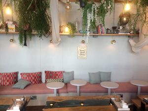 Hanging plants make for a relaxing interior  at Arapina in South East London