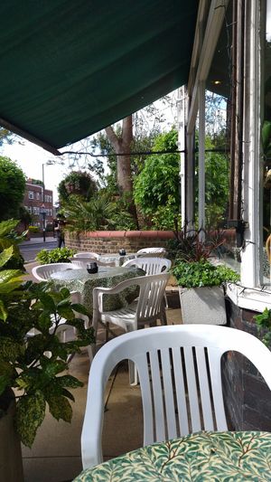 Terrace at The Kew Greenhouse Cafe in Richmond Upon Thames