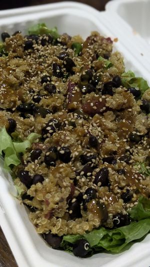 Terranova (Togo) at Go Green in La Paz