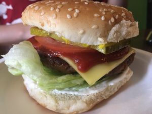 cheezeburger (without sides) at Mana in Binghamton