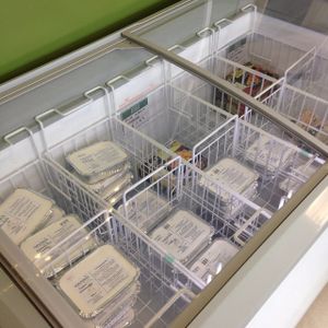 vegan frozen foods for students  at Root in Swansea