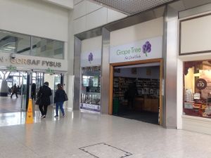 outside view  at Grape Tree in Swansea