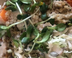 Peace Bowl at Good Choice Kitchen in Ossining