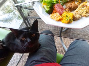 Oi? at Harmonia Restaurante Natural in Rio Grande