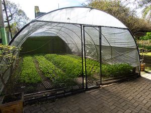 Na entrada do pátio do restaurante. at Harmonia Restaurante Natural in Rio Grande