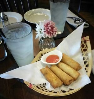 Crispy spring rolls, vegetatble at Thailicious in Southlake