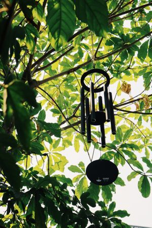 Peaceful Place at Here & Now - Phu Nhuan in Ho Chi Minh City