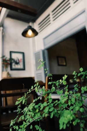 Peaceful Place at Here & Now - Phu Nhuan in Ho Chi Minh City