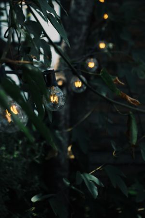 Peaceful Place at Here & Now - Phu Nhuan in Ho Chi Minh City