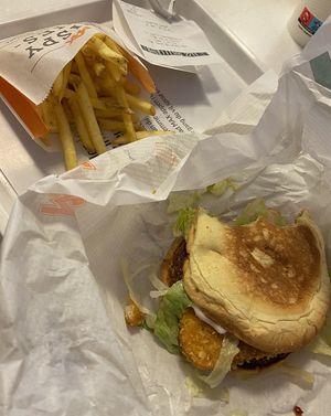 vegan chicken sandwich and fries  at MAX in Copenhagen