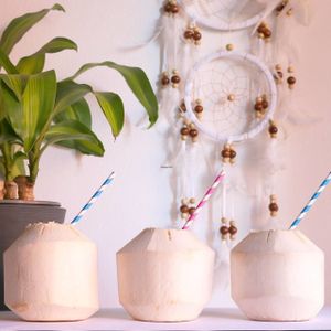 drinking coconuts at Green Wise Monkeys in Sydney