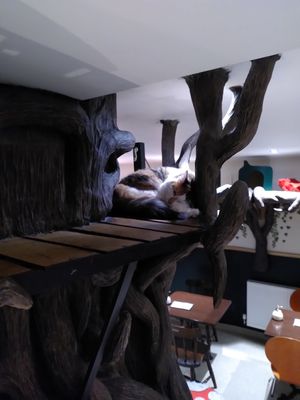  at Lady Dinah's Cat Emporium in East London