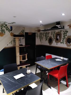  at Lady Dinah's Cat Emporium in East London