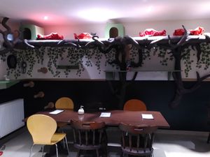  at Lady Dinah's Cat Emporium in East London