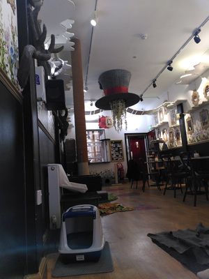  at Lady Dinah's Cat Emporium in East London