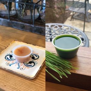 The Farmacy!  Wheatgrass and Immunity Booster Shots at 3:8 Juice & Eatery in Milton