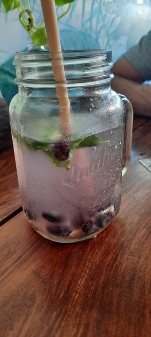 Wasser mit Basilikum und Beeren at Fresco Habito in Playa Del Carmen