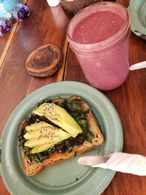 Green & Champi Cheese at Fresco Habito in Playa Del Carmen