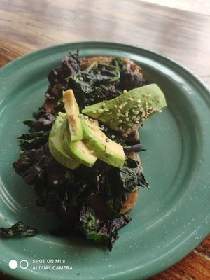  at Fresco Habito in Playa Del Carmen