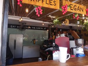  at Fresco Habito in Playa Del Carmen