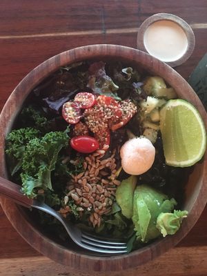 Build Your Own Bowl at Fresco Habito in Playa Del Carmen