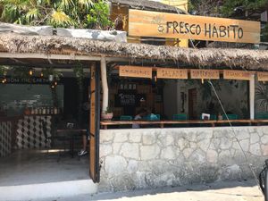   at Fresco Habito in Playa Del Carmen