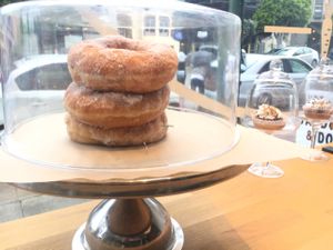 Sugar Donut at Vegan Picnic in San Francisco
