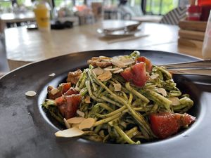 Zucchini  at O-OH Farm Suanluang in Phuket