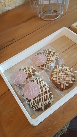 Began cookies at By-Kees in Heerenveen