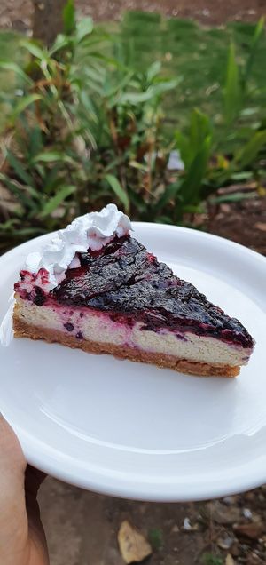 Yum blueberry cheesecake at Rare Earth Cafe & Organic Store in Mumbai