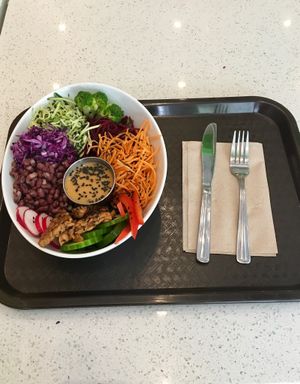 Bol Oriental Express: delicious! at Delicieux Veg Fusion Cafe in Montreal