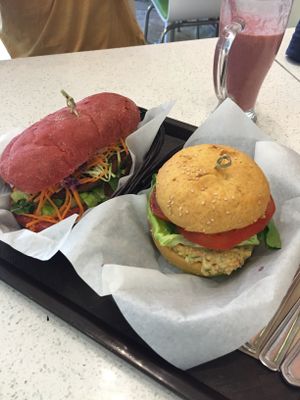 Yum! at Delicieux Veg Fusion Cafe in Montreal