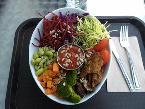 Délicieux veg bowl at Delicieux Veg Fusion Cafe in Montreal