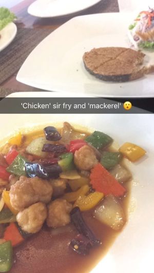 Chicken and cashew stir fry and mackerel. So delish!  at Yo Vegan in Phuket