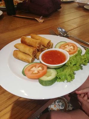 Spring Rolls at Yo Vegan in Phuket
