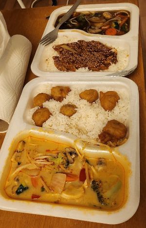 Rotes Curry+gebackenes Huhn vorne, Chop Suey+gebackene Ente hinten at Vegan Express in Leipzig