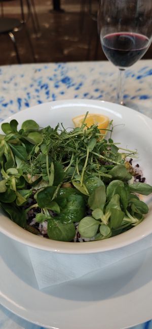 Weekly special at Die Küche in Brno