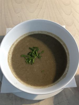 mushroom cream soup at Die Küche in Brno
