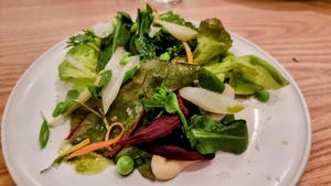  at Rutabaga in Stockholm