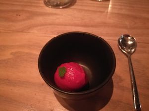 Large vegan set menu #6, first dessert: tasty raspberry icecream at Rutabaga in Stockholm