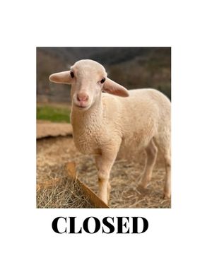 WE ARE CLOSED THIS WEEK FROM TUE 26 MARS TO 02
APRIL. THANKS! at Jonny Aldana in Barcelona