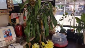 front area at La Charrita in Santa Clarita