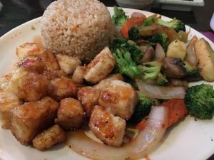 Vegetable Hibachi with Tempura Tofu at Grace Japanese Sushi in Ocala