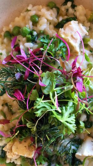 Risotto at Assaggini in Mornington