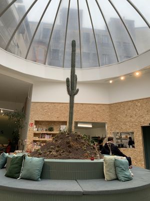 Interior  at Knol & Kool Bistro & Superet in Ghent