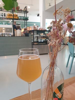 Kombucha at Knol & Kool Bistro & Superet in Ghent