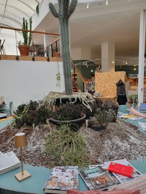 Interior at Knol & Kool Bistro & Superet in Ghent