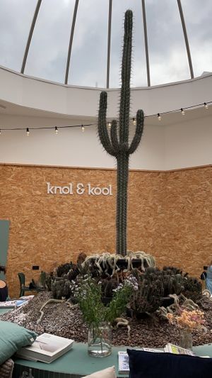   at Knol & Kool Bistro & Superet in Ghent