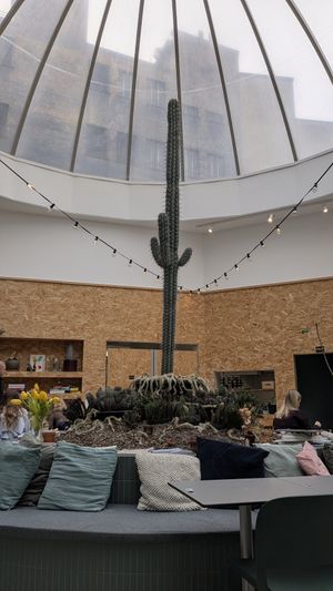  at Knol & Kool Bistro & Superet in Ghent