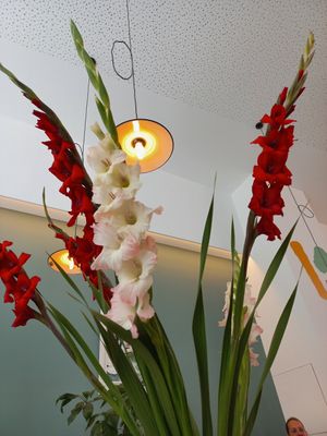  at Knol & Kool Bistro & Superet in Ghent